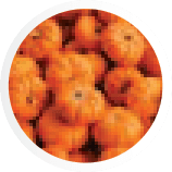 Bal Kabağı
