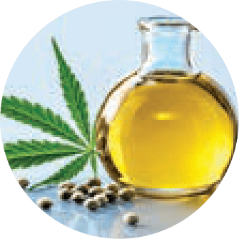 Hemp Seed Oil