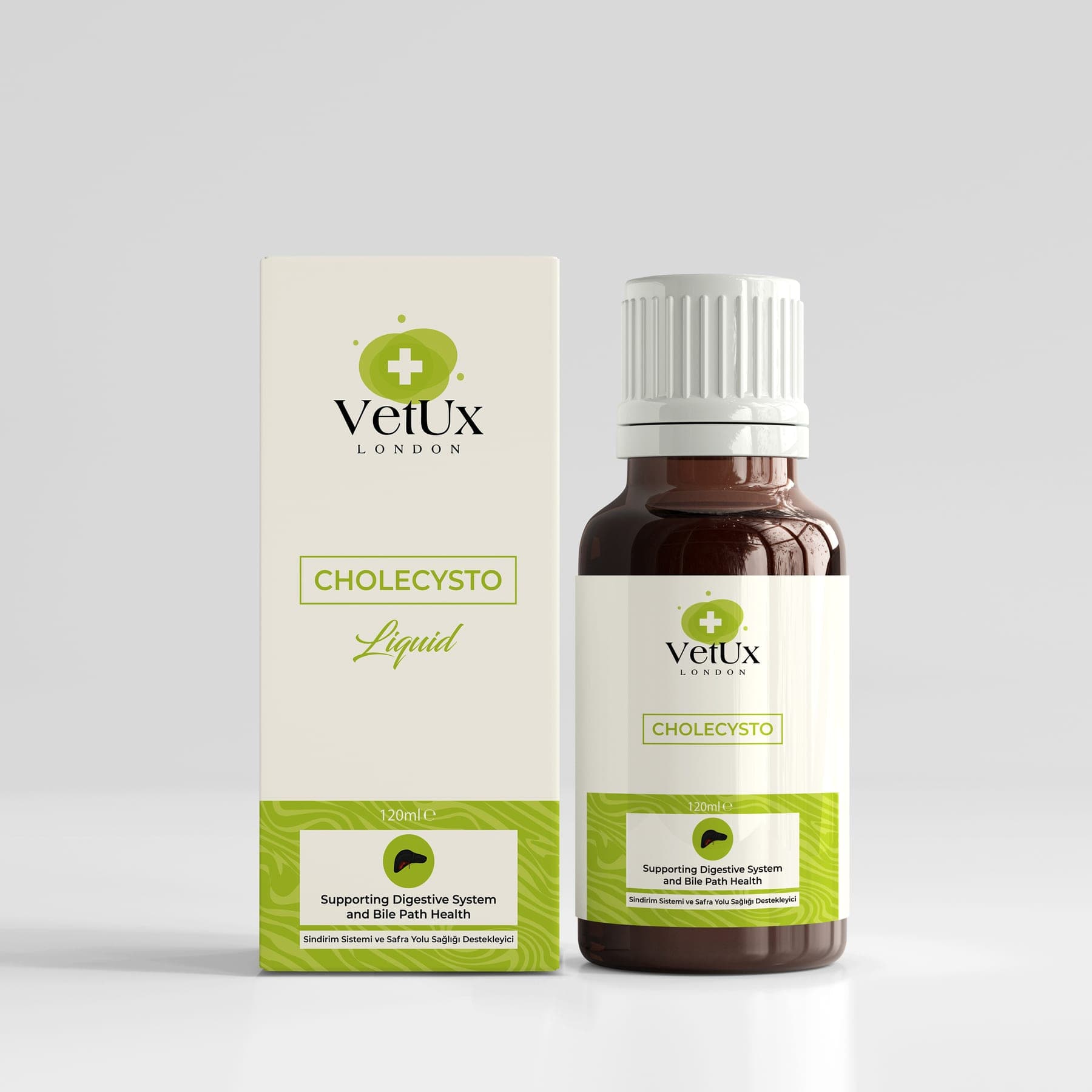 Cholecysto