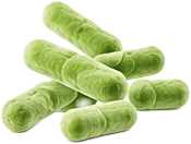 Lactobacillus reuteri