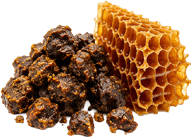 Propolis