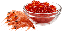 Krill Yağı