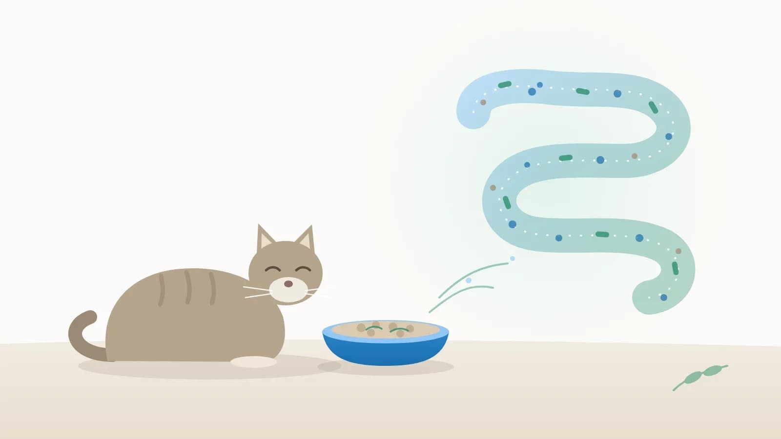 Diarrhoea in Cats: Causes, Home Monitoring and When to See the Vet